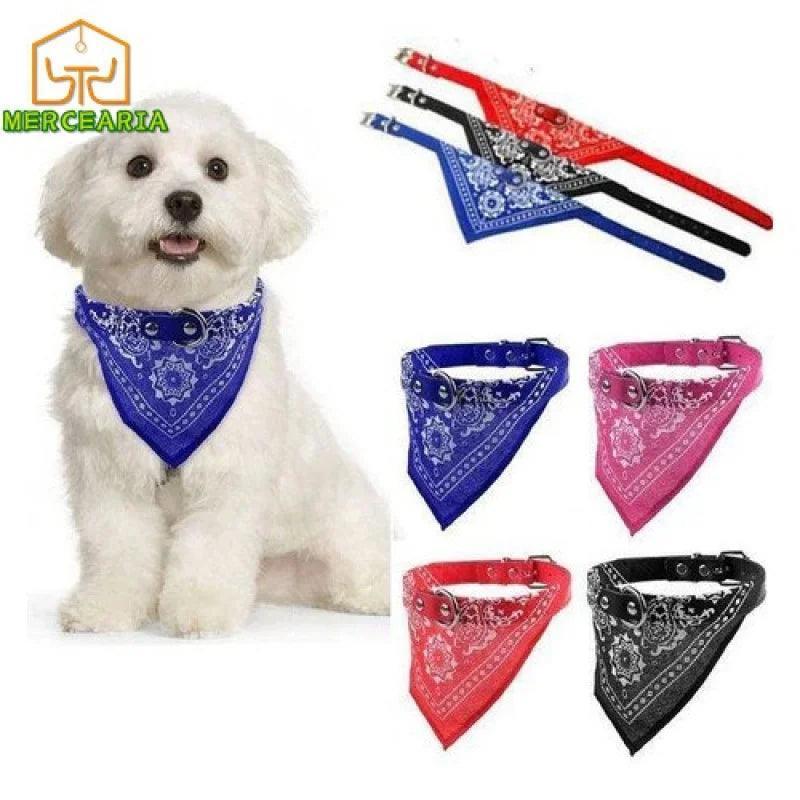 Coleira Com Bandana