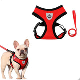 Red Chest Vest